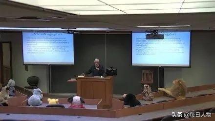 飞舞的红窗帘、出狱的窃·格瓦拉，4月我们关注