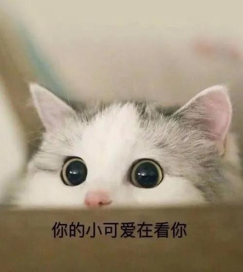 所有山西车友！6月10日，山西省开始全面实施