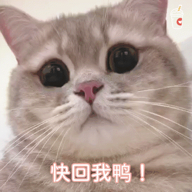 7.24 | 表情包来啦