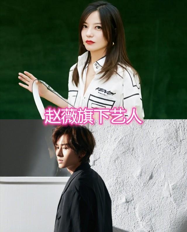 陈赫旗下艺人，贾玲旗下艺人，赵薇旗下艺人，