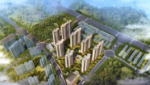 年中热盘大盘点 欲上车速看