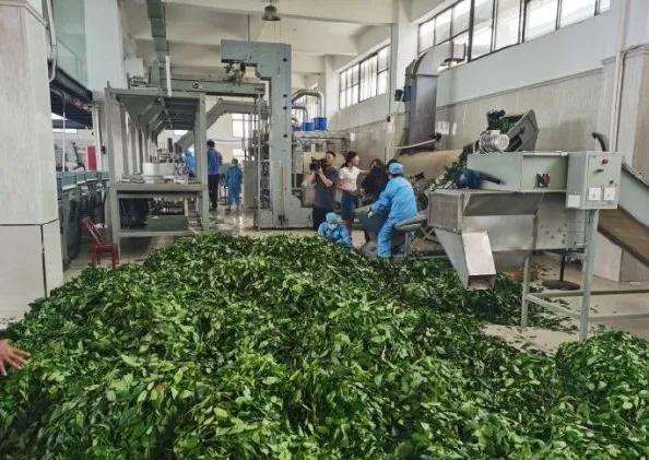 楊凌農(nóng)科，見證小康足跡——2020走出楊凌看示范活動圓滿收官