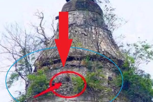 苏州重大发现，学生放学“掏鸟蛋”找到千年国