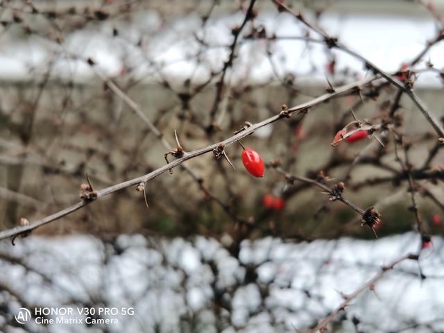 荣耀V30 Pro体验：大多数人都能买的起的5G旗舰手机