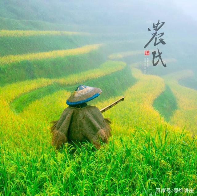 什么是合村定居？农民何去何留？