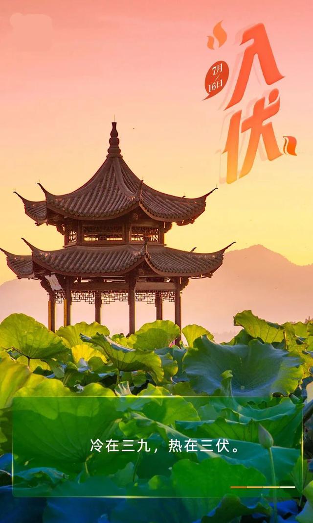 湖北天门：三伏饮食｜夏季调理肠胃，牢记“三戒三宜”