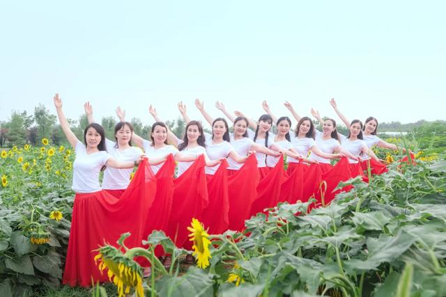 菏澤這個公園有一大片向日葵花田，美翻了…