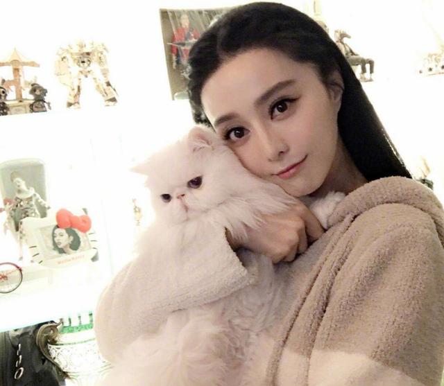 普通演员李晨，拥有过的5段“顶级”情史