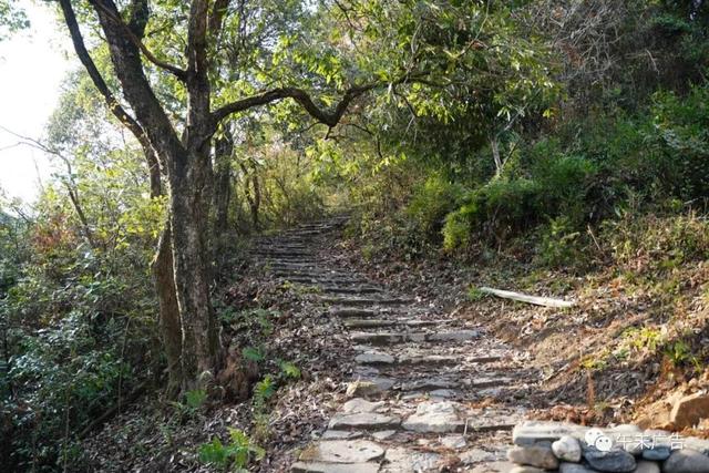 曾祥裕风水团队走进安徽黄山太平湖山村，考察杨仁山故里风水