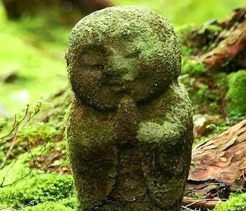 人到五十，还没这四样东西，说明你已经死了，只不过还没入土