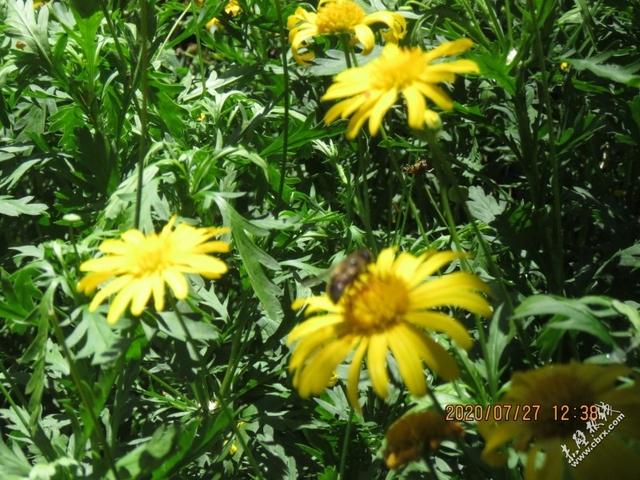 旅游旅行在丽江！人间值得