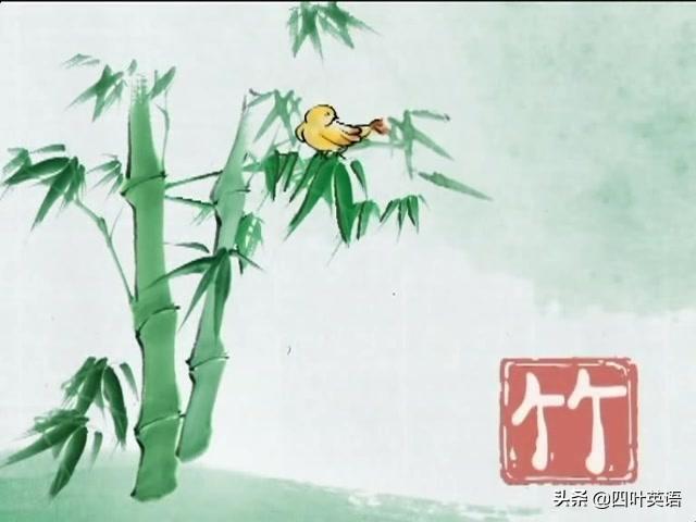 竹子用英语怎么说(可爱用英语怎么说)