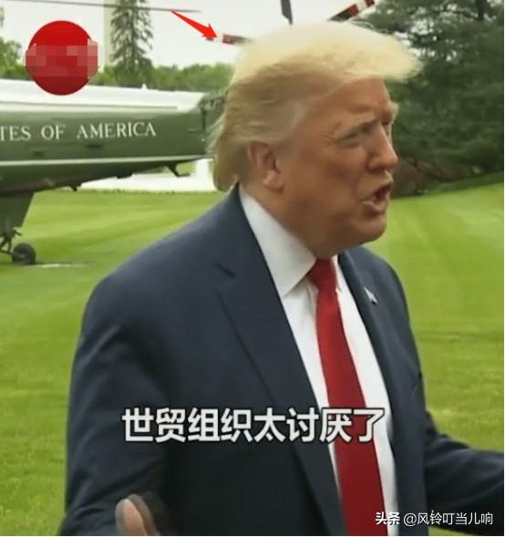 特朗普在户外接受采访，蓬松的头发好抢镜，感觉像戴一顶“帽子”