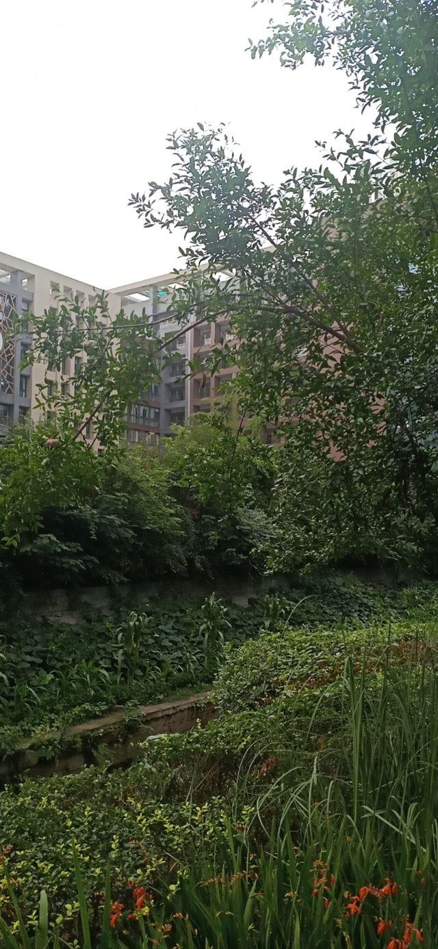 买房|去鹤岗3万买房几个月后2.2万卖了 你怎么看