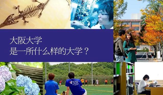 日本有名的关西地区，你只知道服部平次的关西方言吗？