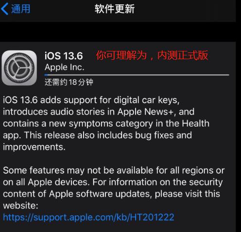 iOS 13.6 GM 和 iOS 14 公测版，依然可越狱