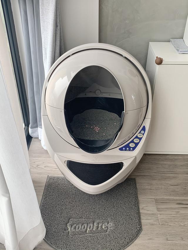 民宿主夫妇爆改96m²两室，两人一猫的神仙生活太治愈了吧