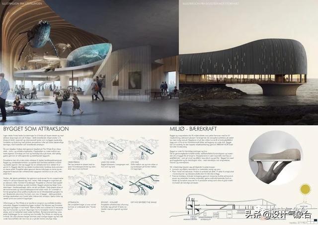 BIG惜败！再牛的方案也比不过一头鲸