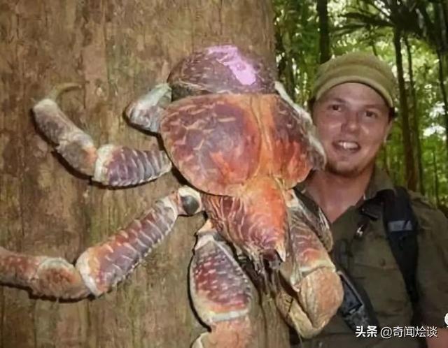 这就是神奇的大自然！这么奇妙的动物我第一次