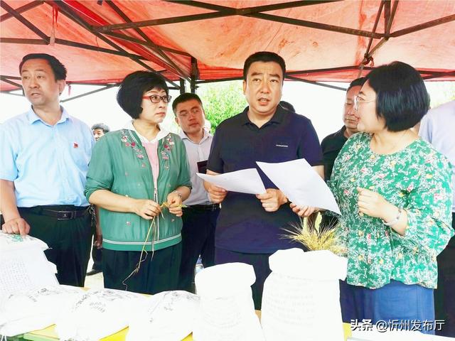 巩固发展"脱贫果" 切实做好"后半篇"