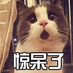 电梯|济南一小区乘电梯按次收费 回家还得精打细算…网友吵翻