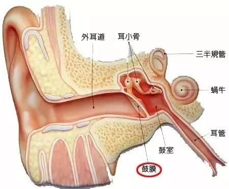 耳朵痒却又掏不出东西？暗示5个健康问题