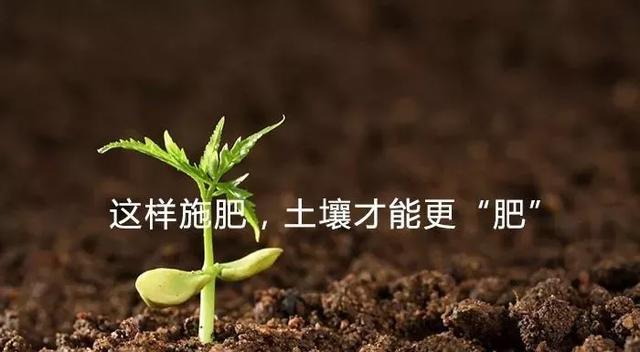這樣施肥，土壤才能更“肥”