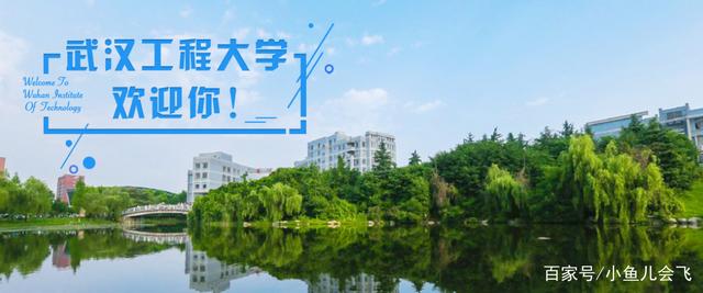 湖北一高校公布2020年招生计划，武汉工程大学2020年招生人数定了