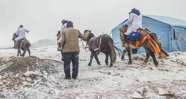 玉树迸发新动力：开展下乡义诊工作，见证医疗