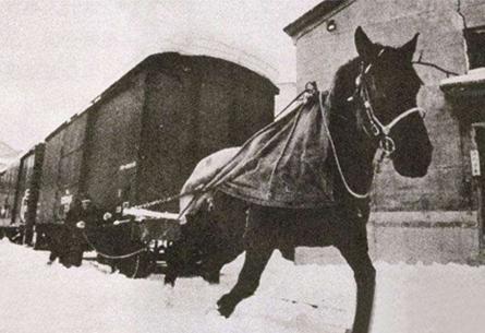 “中学为体，西学为用”，清朝的最后一根救命