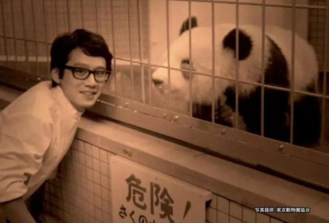 想和熊猫结婚、为看熊猫放弃妹妹婚礼！网友：