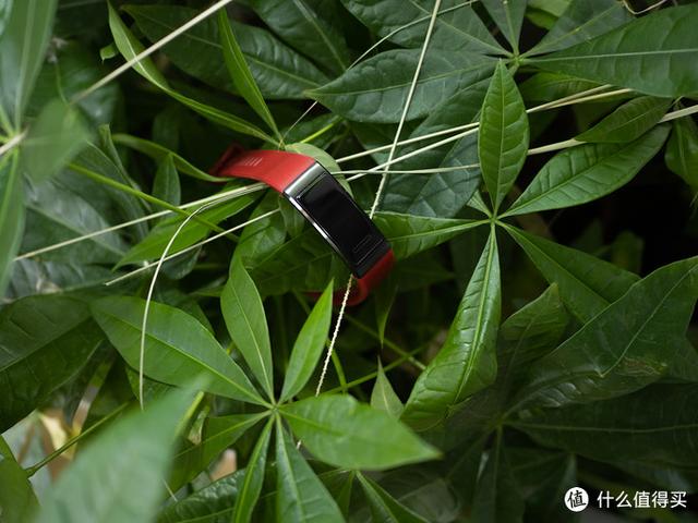 独立GPS + 血氧检测功能：HUAWEI 华为手环4 Pro上手体验