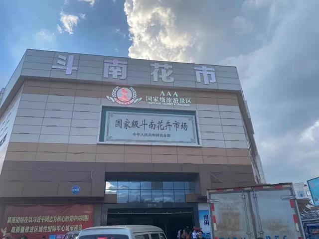 一束鲜花的进城之路：98天后，30%鲜花凋谢在路上