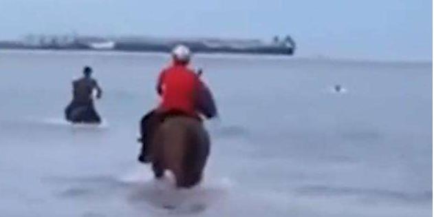 冲入|三男子骑马冲入海中救下男孩 网友：像古代大侠