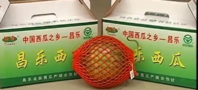 山东名牌水果 你都吃过吗