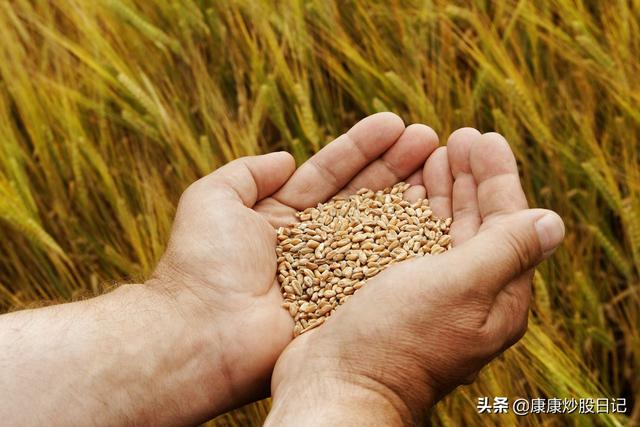 英国首相进ICU未影响股市走势，粮食龙头继续涨