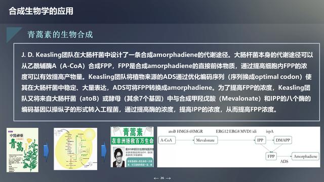 未来生物科技技术：合成生物学概述及应用