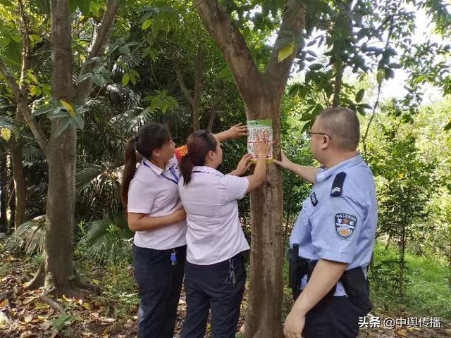 靖民镇寿溪桥社区警格开展夏季森林防火宣传活动