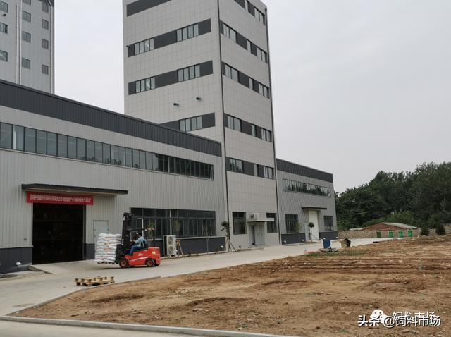 看，山东爱依特生物技术有限公司如何成为鹅饲料市场的一匹黑马