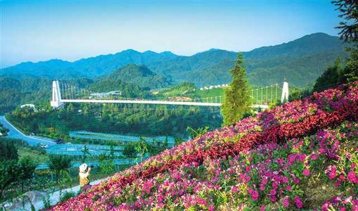 重庆避暑|八月的重庆，空气都是“烫人的”，去这个地方避暑简直不要太安逸