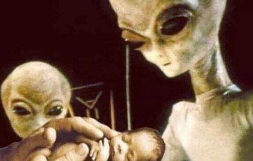 莱瑟塔档案到底是不是真的？