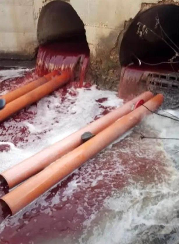 以色列河流染成红色一片，已经不是头一回了，民众担心会得病