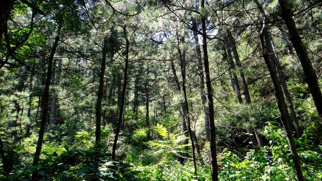 高标北镇,秀耸辽西,大美医巫闾 高标北镇,秀耸辽西,大美医巫闾