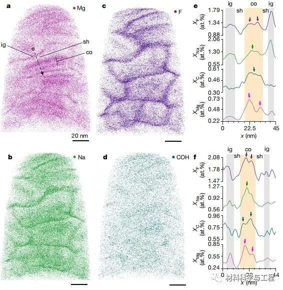 美國材料科學家，研究了一顆牙齒，還發了篇《Nature》