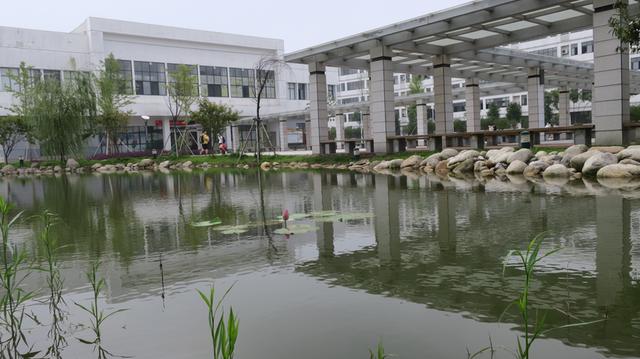 七月复学，武穴中学景色依然！喜迎高一、高二年级学子归来
