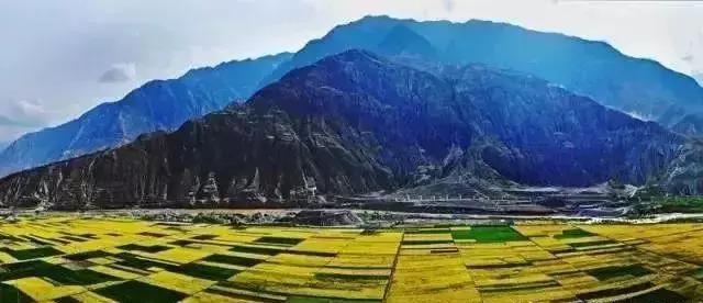 甘肃14市结婚彩礼价目表出炉，这个市简直贵上了