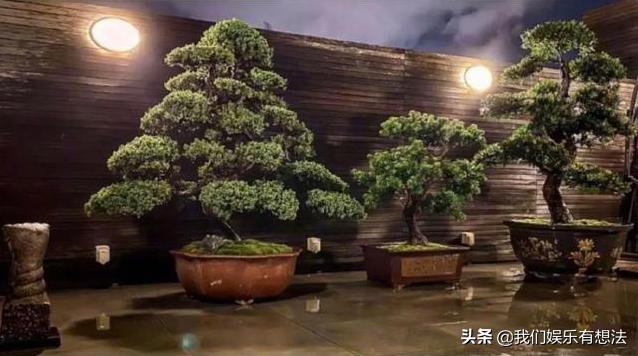 这回怀孕实锤了吧？之前老公暗示，婆婆否认又