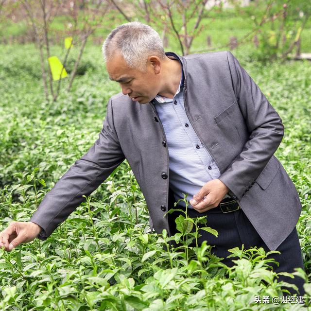 慰问武汉好人圈最美逆行者，端午节“楚茗源”茶香献英雄