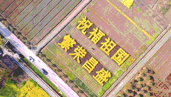 you成都 2020成都最有味儿的小镇