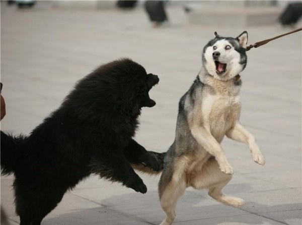 æéåå®¶åº­å»çåç§å¤§åç¬